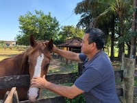Após denúncia, Wilson Paraná consegue suspender a realização do Leilão de Animais 2