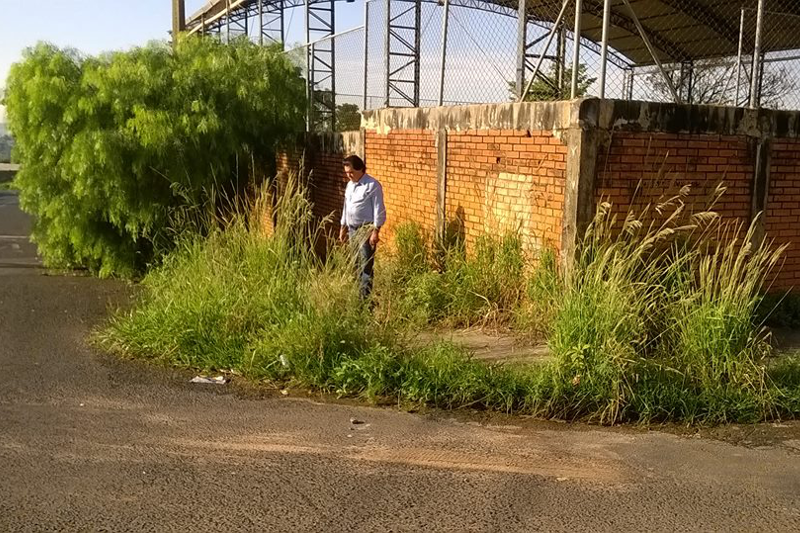 “Mato alto toma conta de escola municipal”, aponta Vado