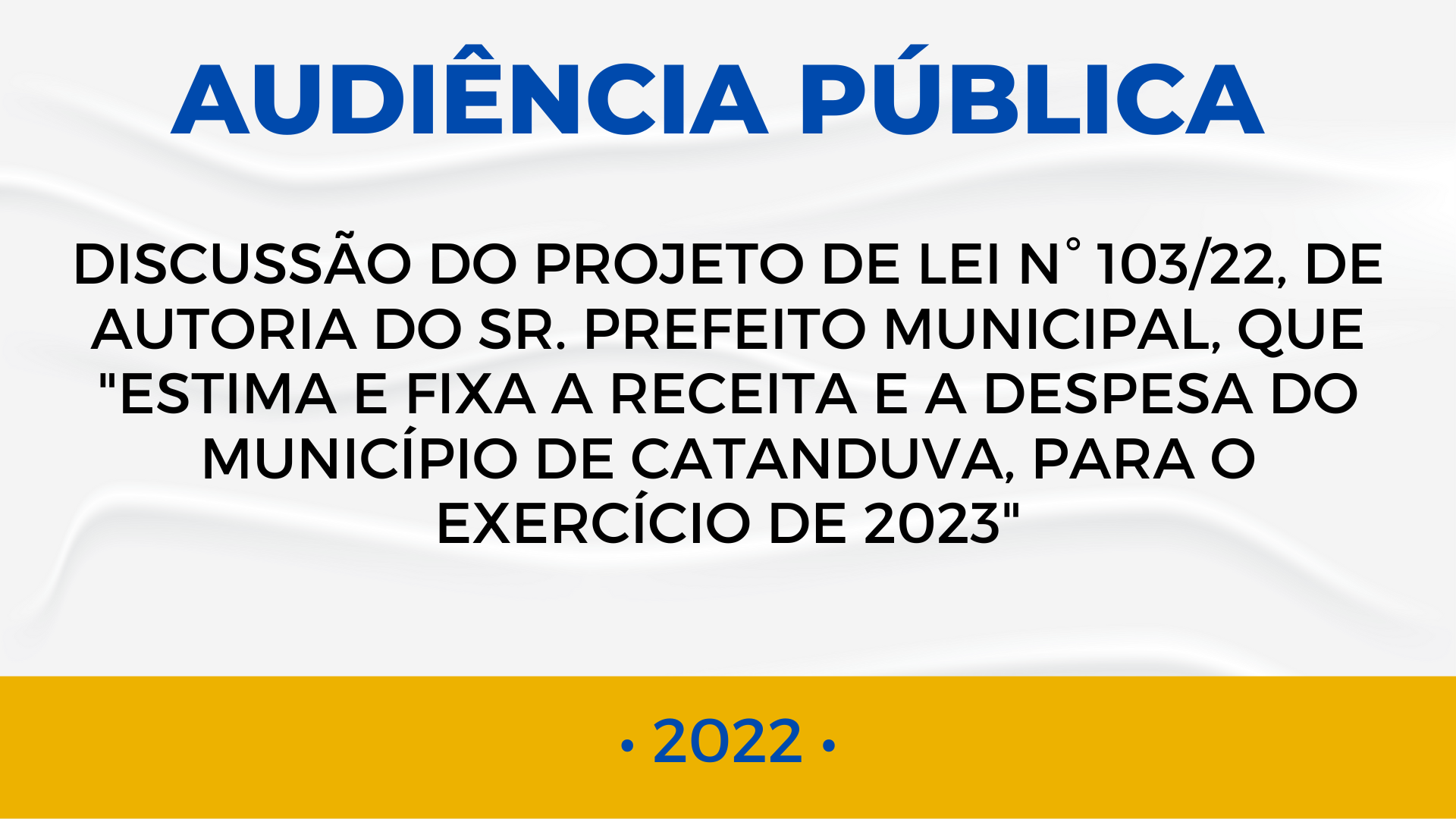 AUDIÊNCIA PÚBLICA
