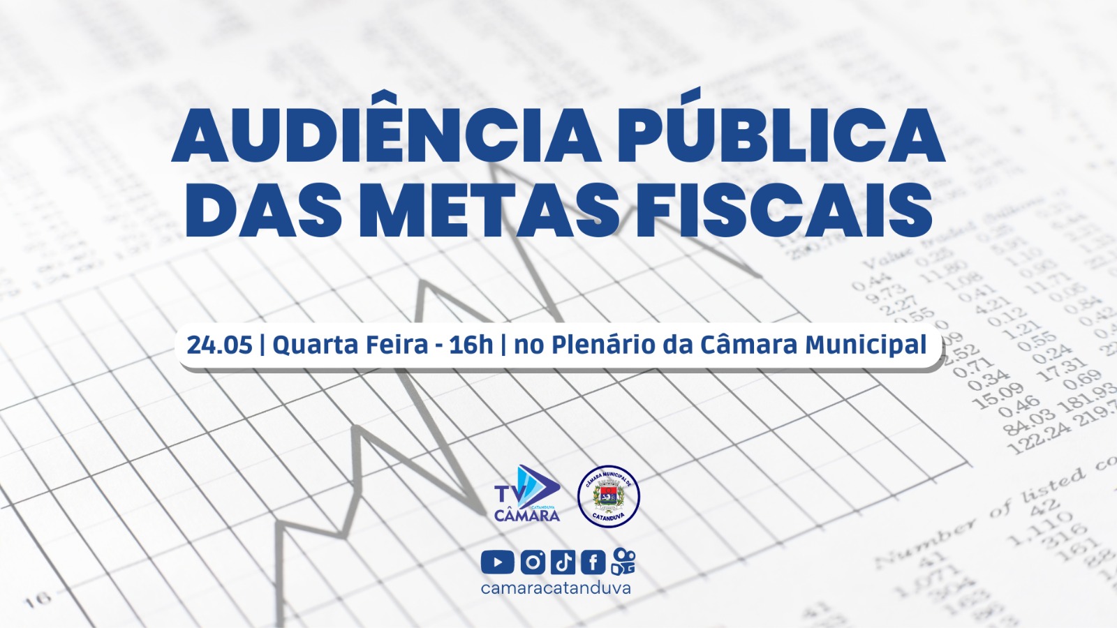 Audiência Pública