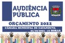 Comissão de Finanças e Orçamentos realiza audiência pública para discutir orçamento 2022