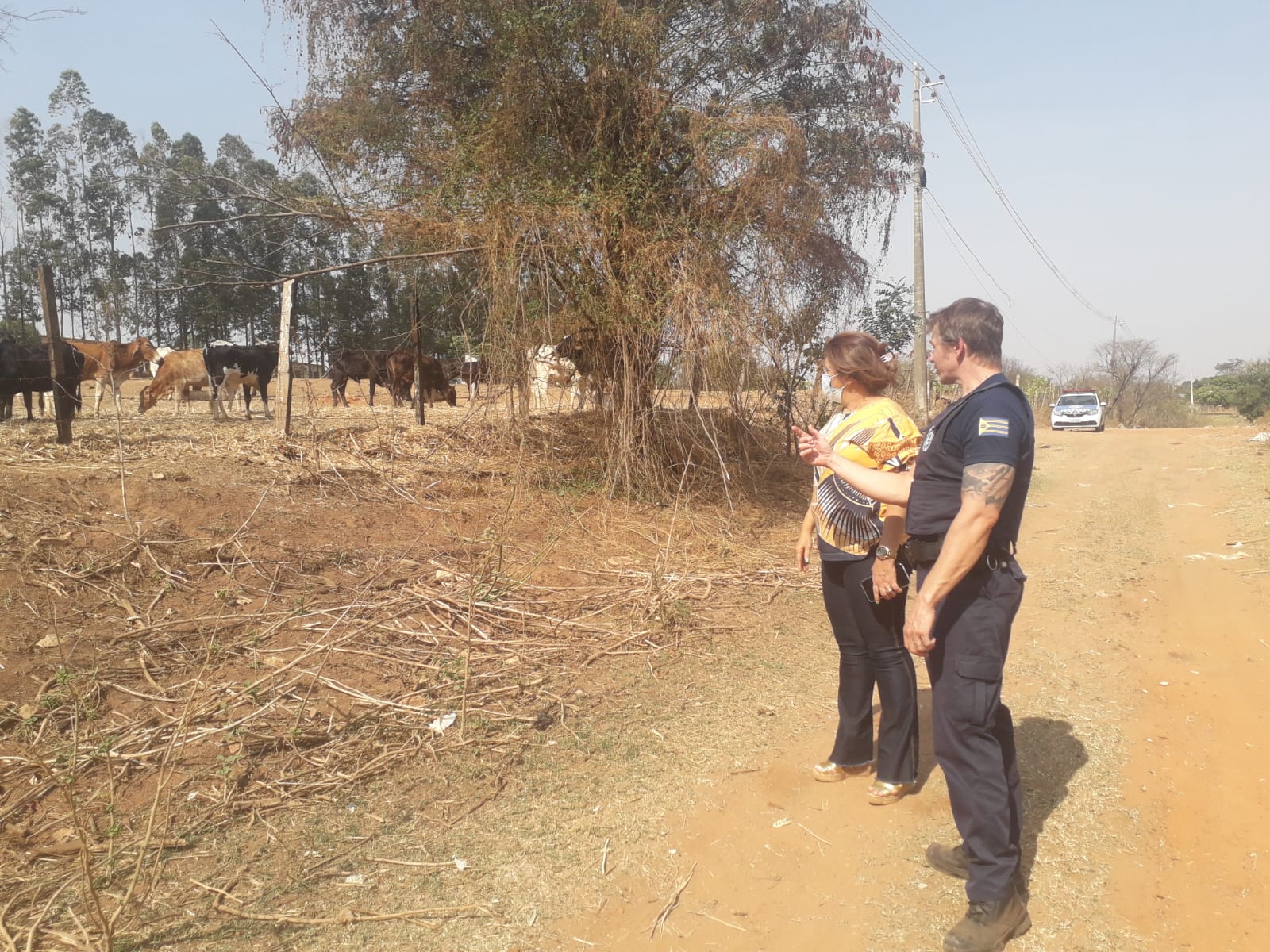 Ivânia Soldati acompanha apreensão da Patrulha Ambiental em área urbana do Jardim Alpino