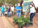 IVÂNIA SOLDATI PARTICIPA DE EVENTOS DA INCLUSÃO SOCIAL E DO MEIO AMBIENTE