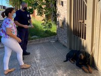 IVÂNIA SOLDATI, PATRULHA AMBIENTAL E BOMBEIROS RESGATAM CÃO NO RESIDENCIAL JÚLIA CAPARROZ