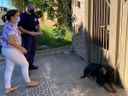 IVÂNIA SOLDATI, PATRULHA AMBIENTAL E BOMBEIROS RESGATAM CÃO NO RESIDENCIAL JÚLIA CAPARROZ