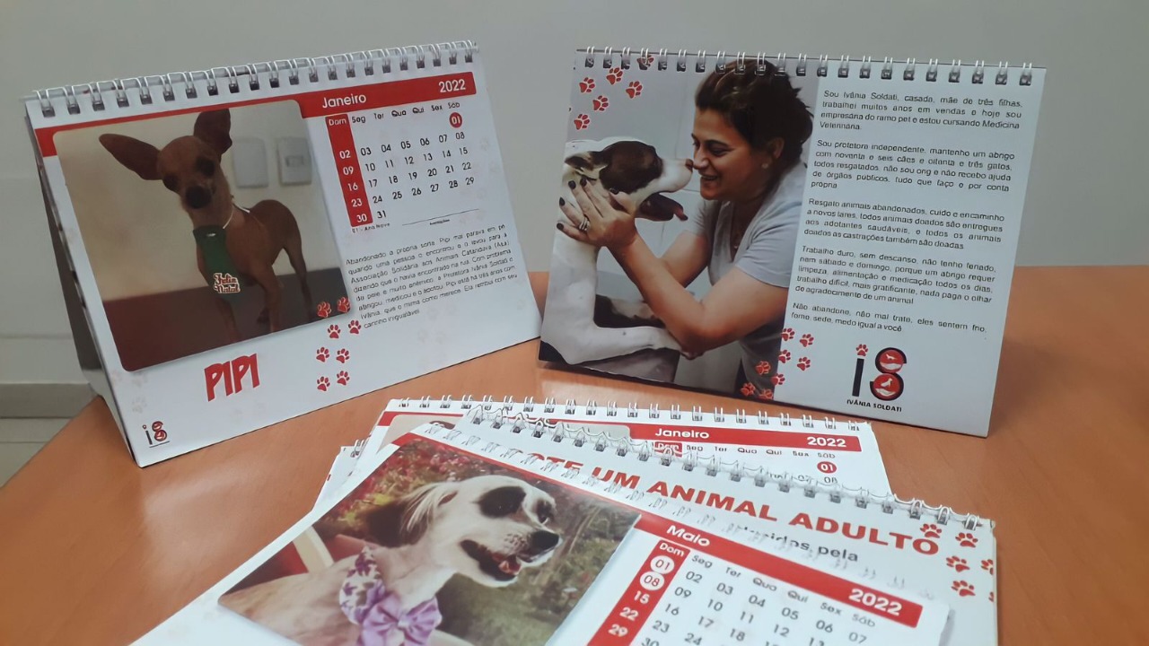 IVÂNIA SOLDATI PROMOVE CAMPANHA PARA RESGATE E TRATAMENTO DE ANIMAIS