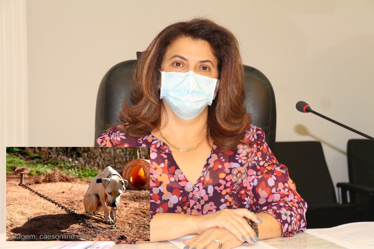 LEI DE IVÂNIA SOLDATI QUE PROÍBE MANUTENÇÃO DE ANIMAIS EM CORRENTES ESTÁ EM VIGOR EM CATANDUVA