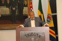 LUÍS PEREIRA REQUER INFORMAÇÕES SOBRE COQUEIRO TOMBADO NA RUA BAHIA