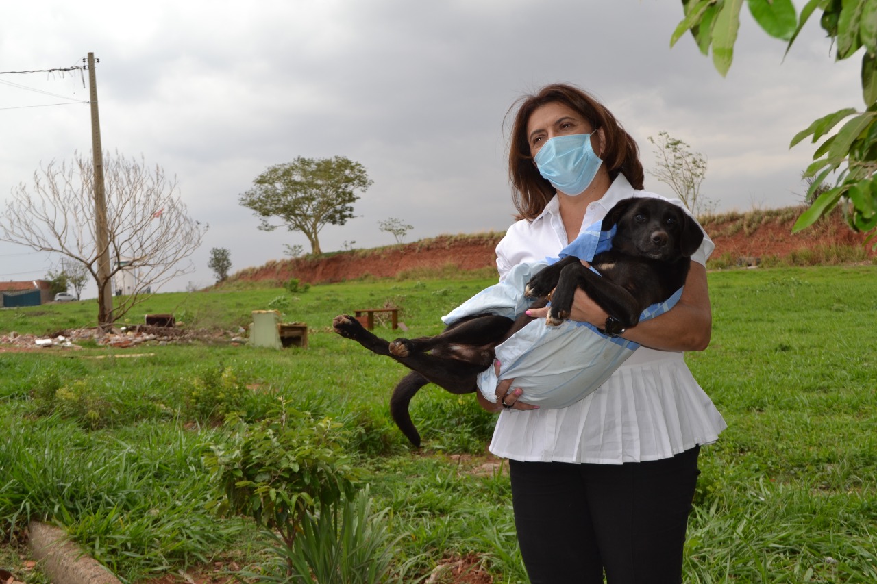 NÃO AO ABANDONO DE ANIMAIS: IVÂNIA SOLDATI PROPÕE CAMPANHA “DEZEMBRO VERDE”