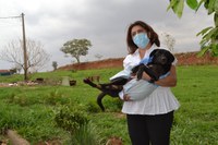 NÃO AO ABANDONO DE ANIMAIS: IVÂNIA SOLDATI PROPÕE CAMPANHA “DEZEMBRO VERDE”