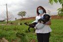 NÃO AO ABANDONO DE ANIMAIS: IVÂNIA SOLDATI PROPÕE CAMPANHA “DEZEMBRO VERDE”