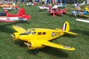  Pereira utiliza a tribuna e comemora conquista de aeromodelistas  