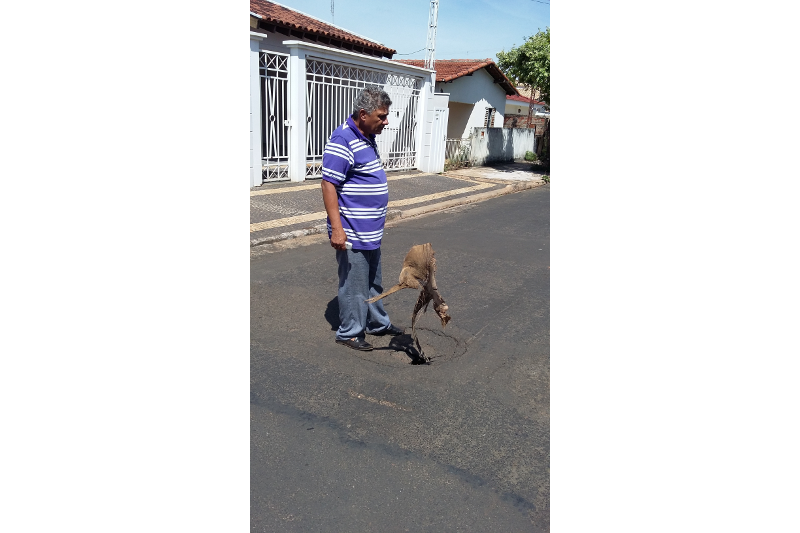  Rua esburacada: Cido Verdureiro pede providências à Prefeitura 