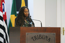 TAISE BRAZ PEDE TREINAMENTO AOS SERVIDORES MUNICIPAIS PARA INIBIR CASOS DE VIOLÊNCIA EM GERAL