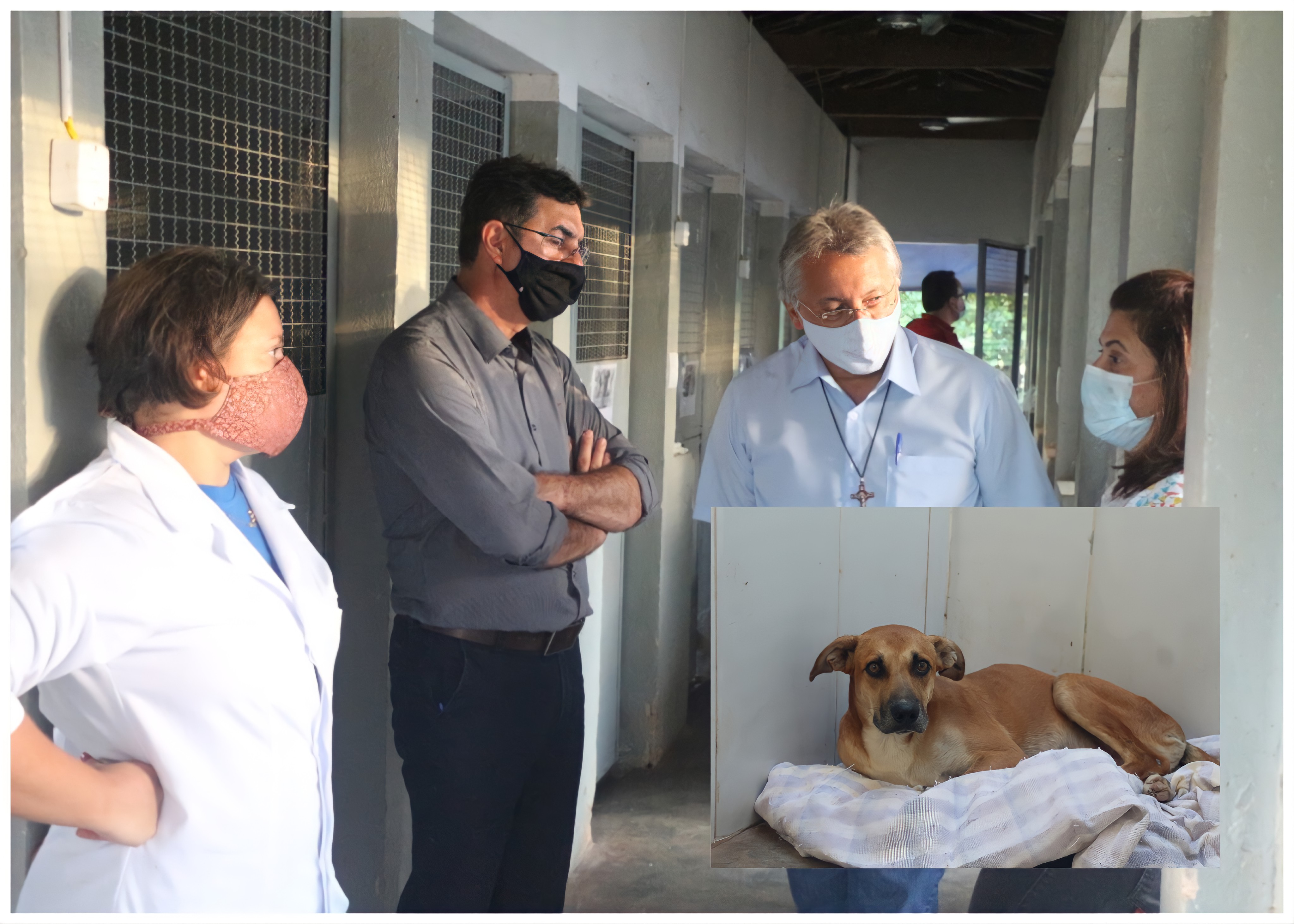 Vereadora Ivânia Soldati faz homenagem ao Centro de Zoonoses por resgate de cão atropelado