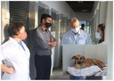 Vereadora Ivânia Soldati faz homenagem ao Centro de Zoonoses por resgate de cão atropelado
