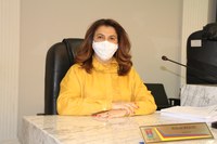 Vereadora Ivânia Soldati solicita manutenção para fontes luminosas da cidade