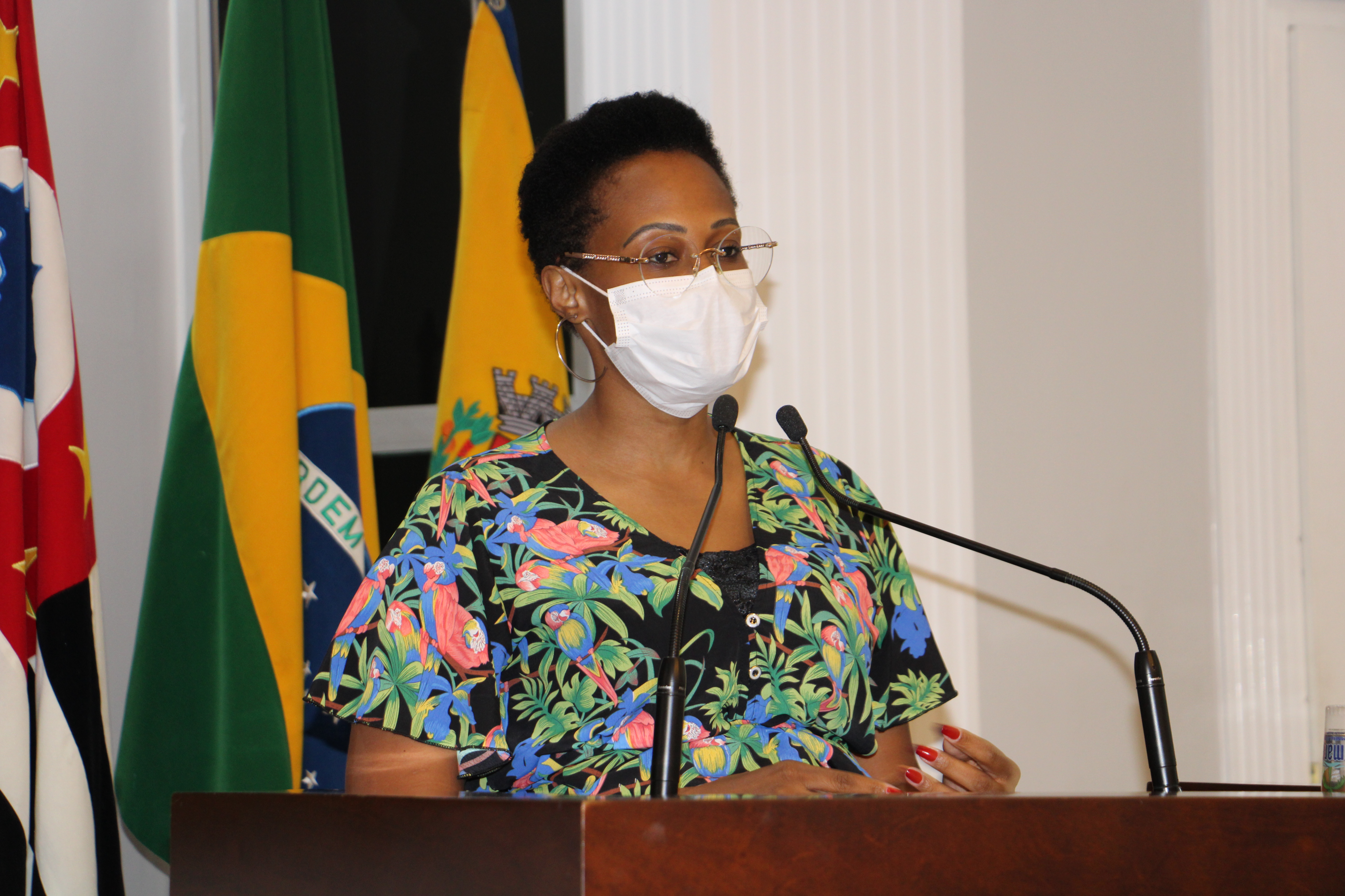 VEREADORA TAISE BRAZ PEDE MELHORIAS PARA INTENSIFICAR O COMBATE AO AEDES AEGYPTI