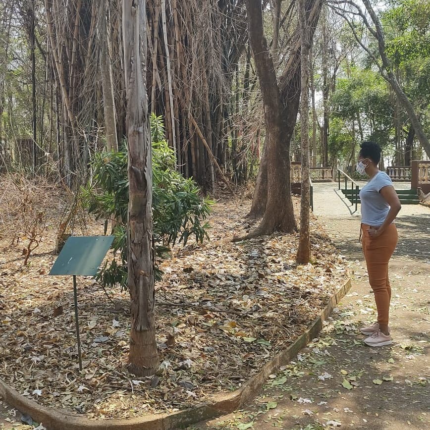 VEREADORA TAISE BRAZ UTILIZA O “GABINETE DE RUA” PARA FISCALIZAÇÃO EM BAIRROS DA CIDADE