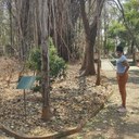 VEREADORA TAISE BRAZ UTILIZA O “GABINETE DE RUA” PARA FISCALIZAÇÃO EM BAIRROS DA CIDADE
