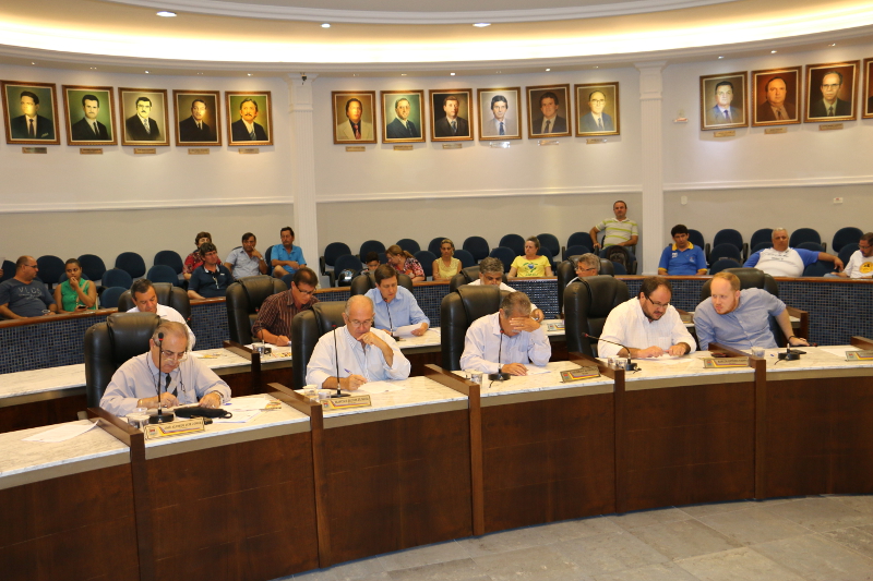 Vereadores discutem três projetos de Lei e recebem secretária do Meio Ambiente e Agricultura